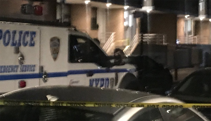 Five people were struck, and at least one was killed in a drive-by shooting in Brownsville. Five people were struck, and at least one was killed in a drive-by shooting in Brownsville.