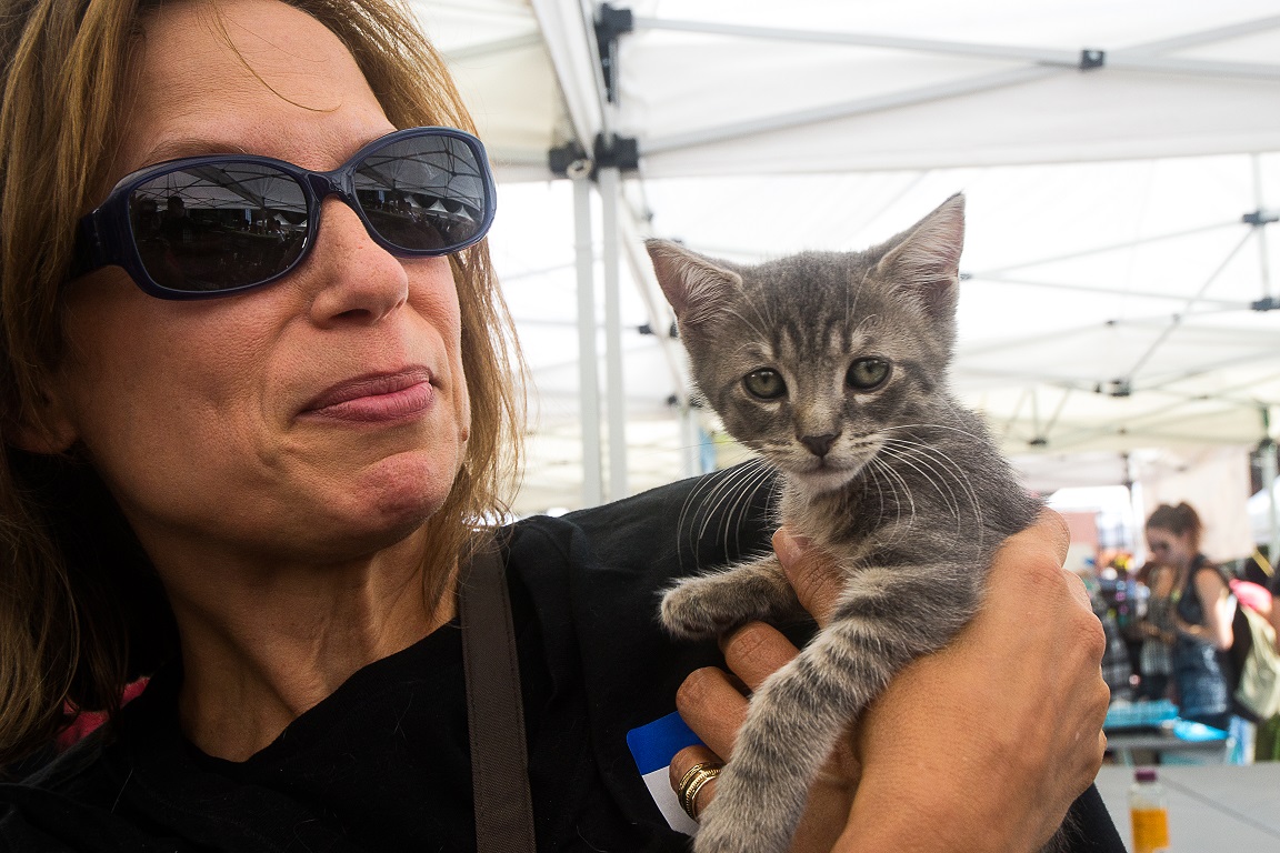 Mayor's Alliance for NYC's Animals Adoptapalooza (Photo: Carol Zytnik)
