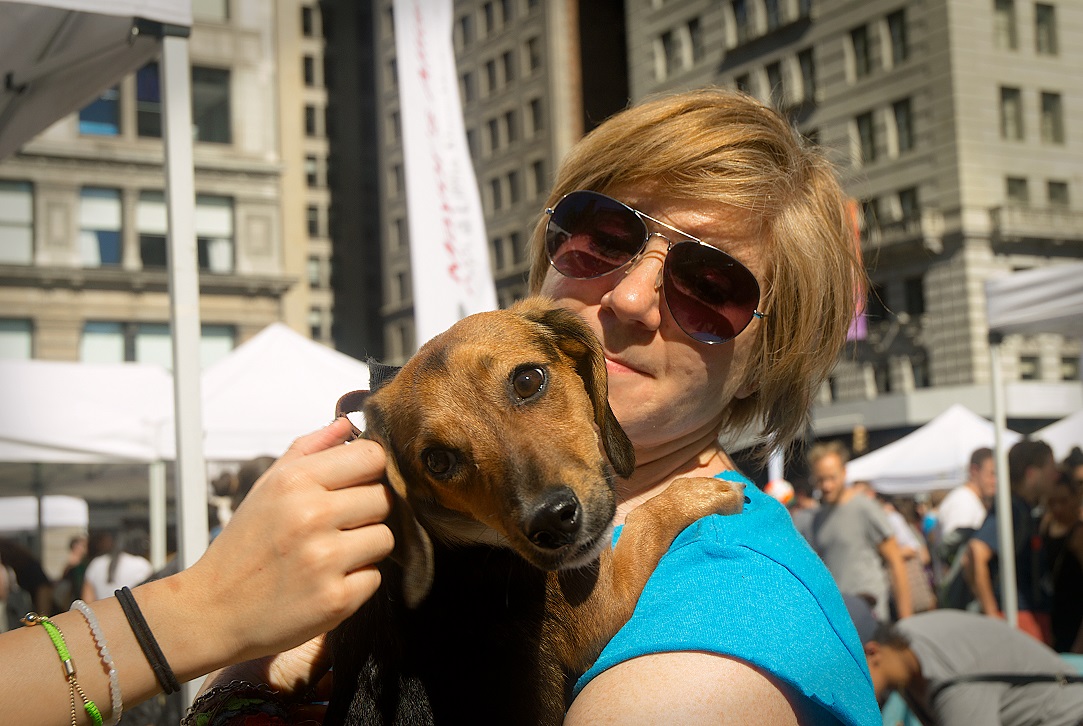 Mayor's Alliance for NYC's Animals Adoptapalooza (Photo: Carol Zytnik)
