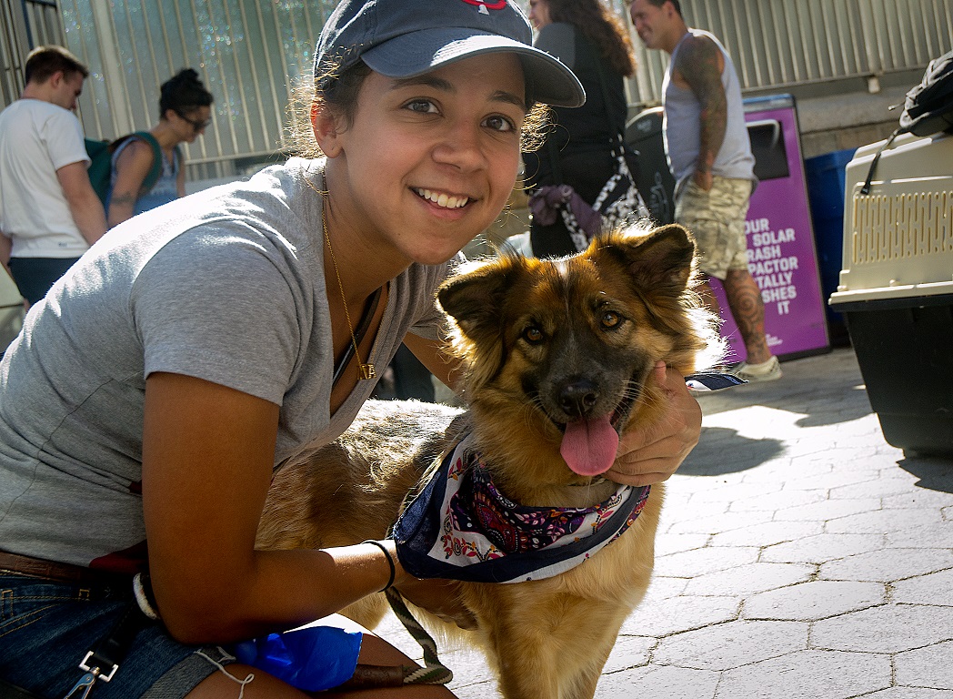 Mayor's Alliance for NYC's Animals Adoptapalooza (Photo: Carol Zytnik)