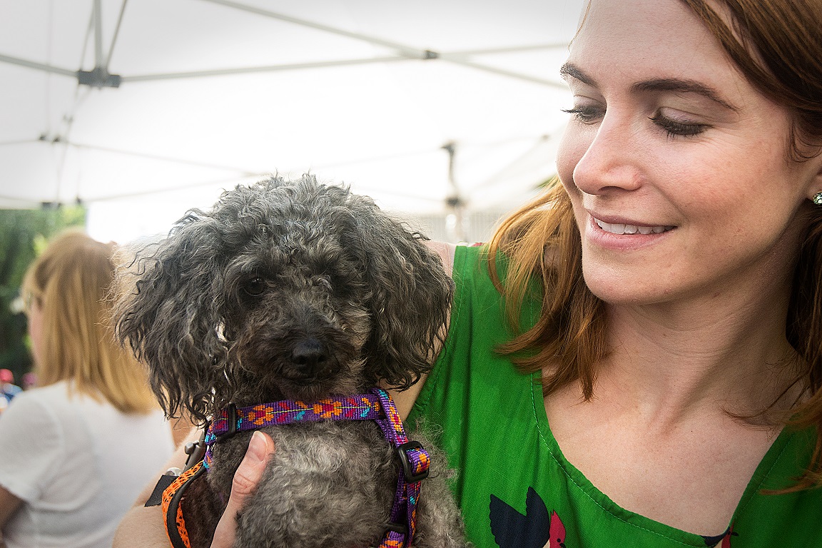 Mayor's Alliance for NYC's Animals Adoptapalooza (Photo: Carol Zytnik)