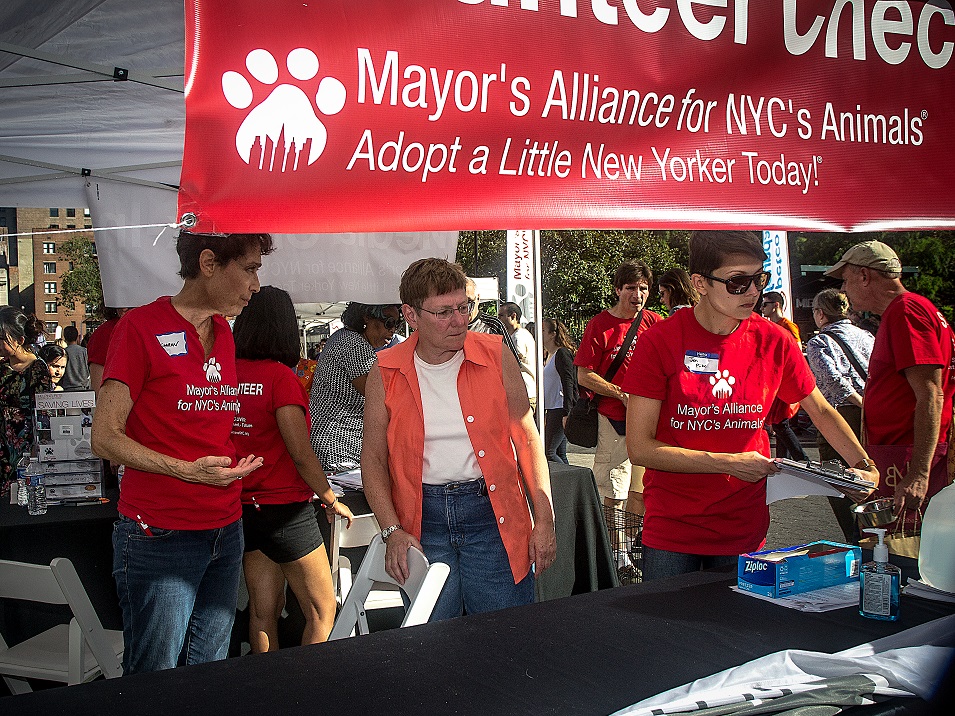 Mayor's Alliance for NYC's Animals Adoptapalooza (Photo: Carol Zytnik)