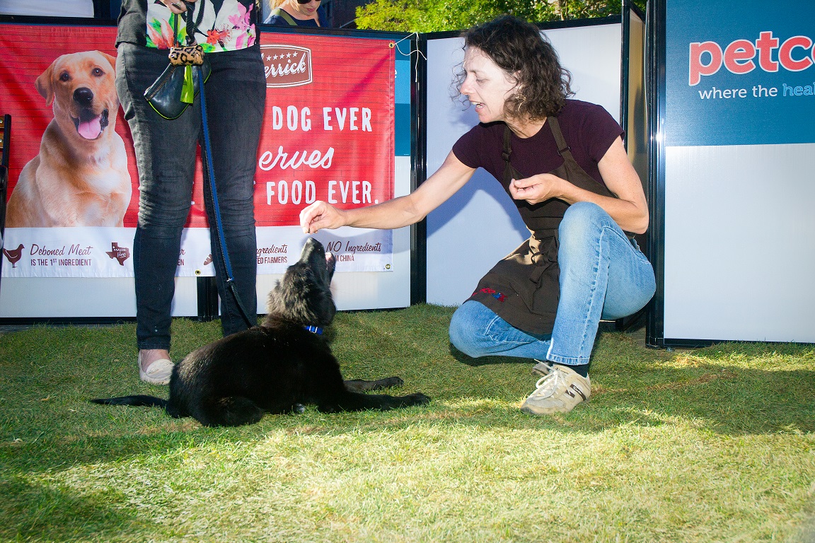 Mayor's Alliance for NYC's Animals Adoptapalooza (Photo: Carol Zytnik)