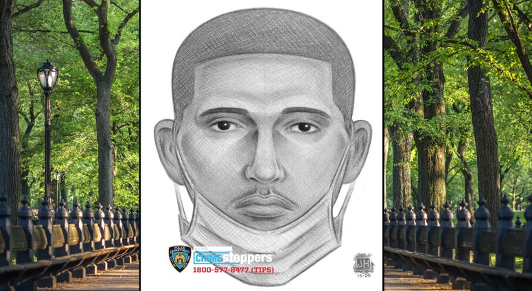 The suspect. Central Park assault