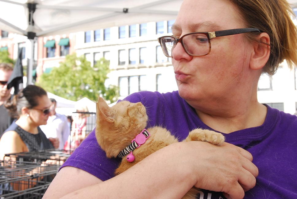 Mayor's Alliance for NYC's Animals Adoptapalooza (Photo: Dana Edelson)