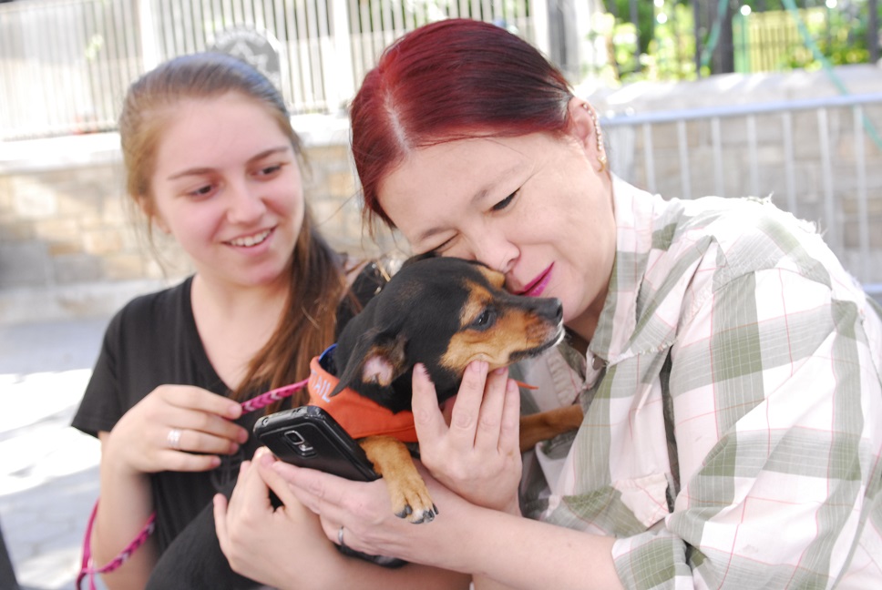 Mayor's Alliance for NYC's Animals Adoptapalooza (Photo: Dana Edelson)