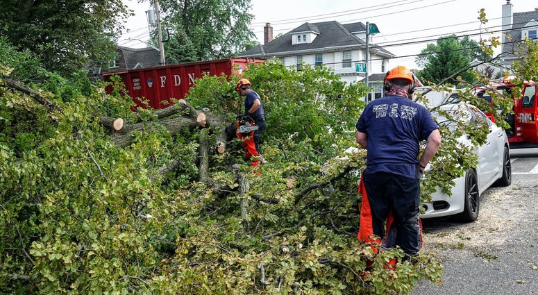 Crews remove trees in New York City. Queens Isaias
