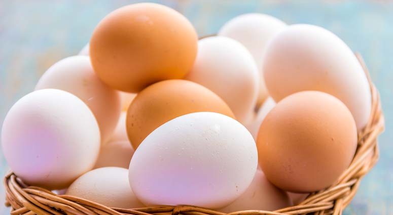 Eggs Eggs