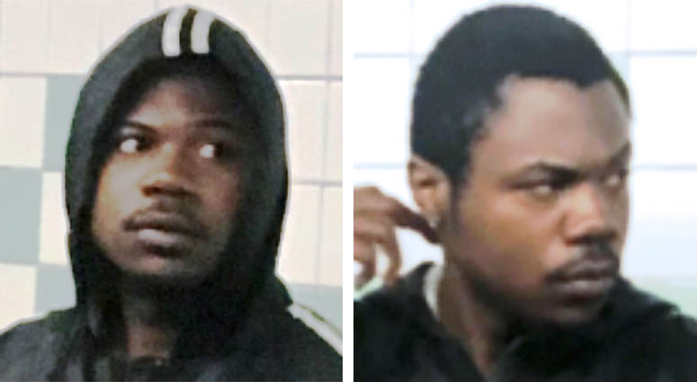 G Train Punching Suspect G Train Punching Suspect