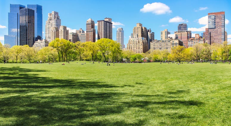 Central Park Central Park
