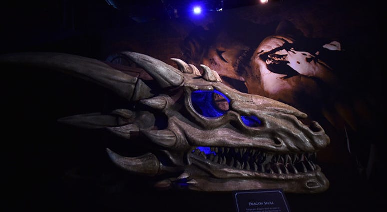 Dragon skulls can be seen on display at the Game Of Thrones: The Touring Exhibition Dragon skulls can be seen on display at the Game Of Thrones: The Touring Exhibition