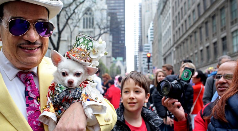 2019 NYC Easter Parade 2019 NYC Easter Parade