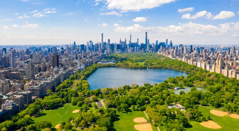 The New York City skyline. New York City skyline
