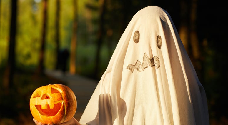 DIY Ghost Costume