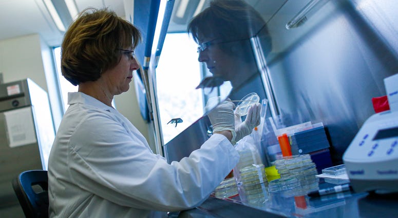 A researcher works in a lab that is developing testing for the COVID-19 coronavirus at Hackensack Meridian Health Center for Discovery and Innovation on February 28, 2020 in Nutley, New Jersey. Coronavirus New Jersey