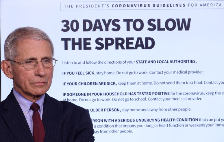 Dr. Anthony Fauci, director of the National Institute of Allergy and Infectious Diseases, participates in the daily coronavirus task force briefing in the Brady Briefing room at the White House on March 31, 2020 in Washington, DC. Fauci