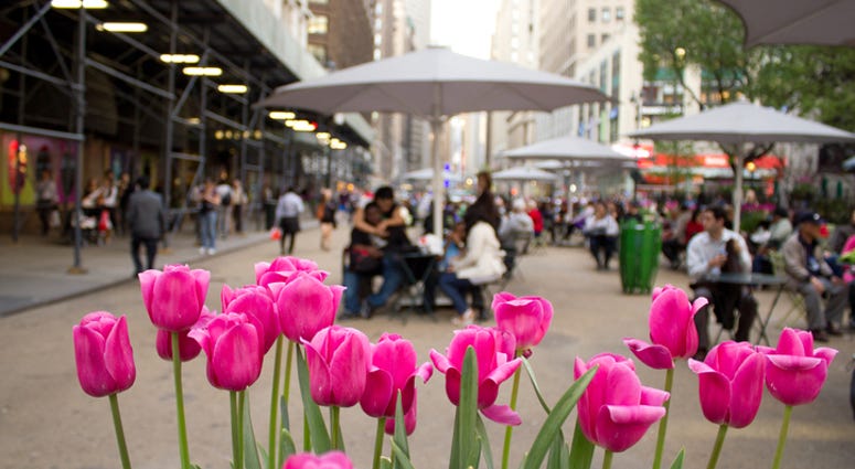 Spring in NYC