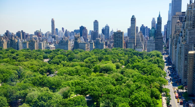 Central Park Central Park