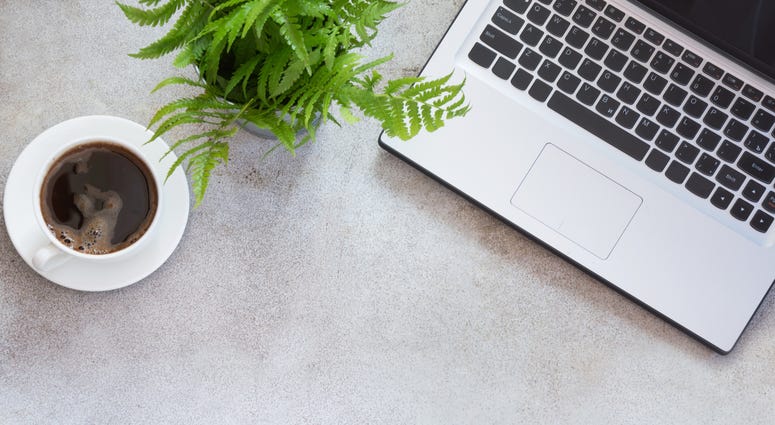 Office Plant