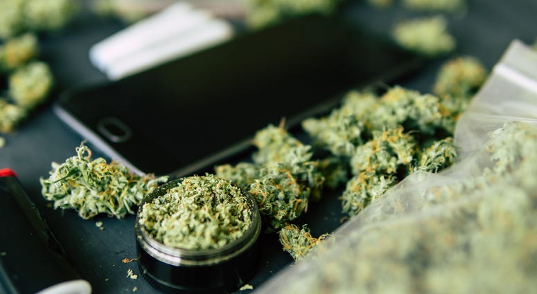 marijuana marijuana