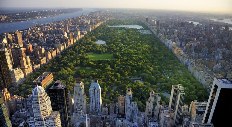 NYC's Central Park