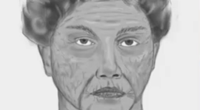 Sketch of woman accused of luring teen girl into Great Neck car Sketch of woman accused of luring teen girl into Great Neck car