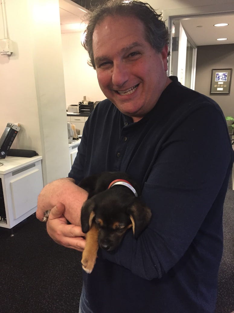 North Shore Animal League holds first ever No Kill Giving Day North Shore Animal League