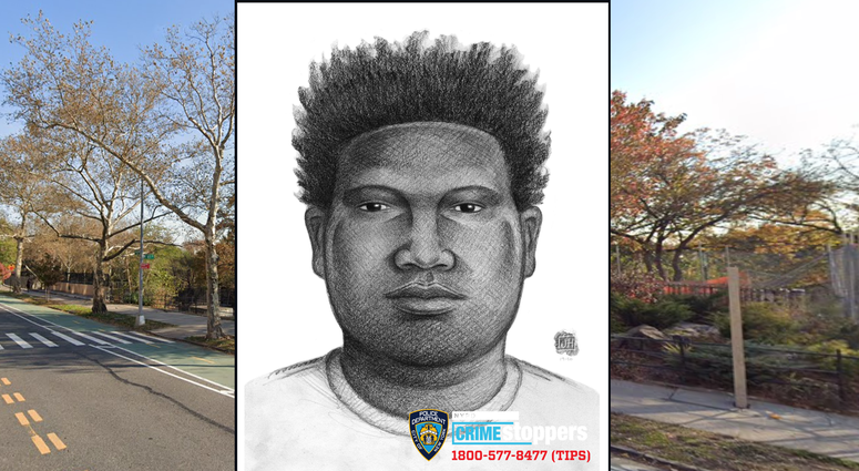 A sketch of the suspect. NYPD