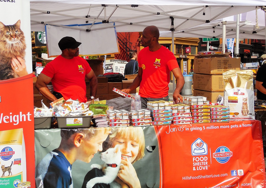 Mayor's Alliance for NYC's Animals Adoptapalooza (Photo: Maureen Smith)