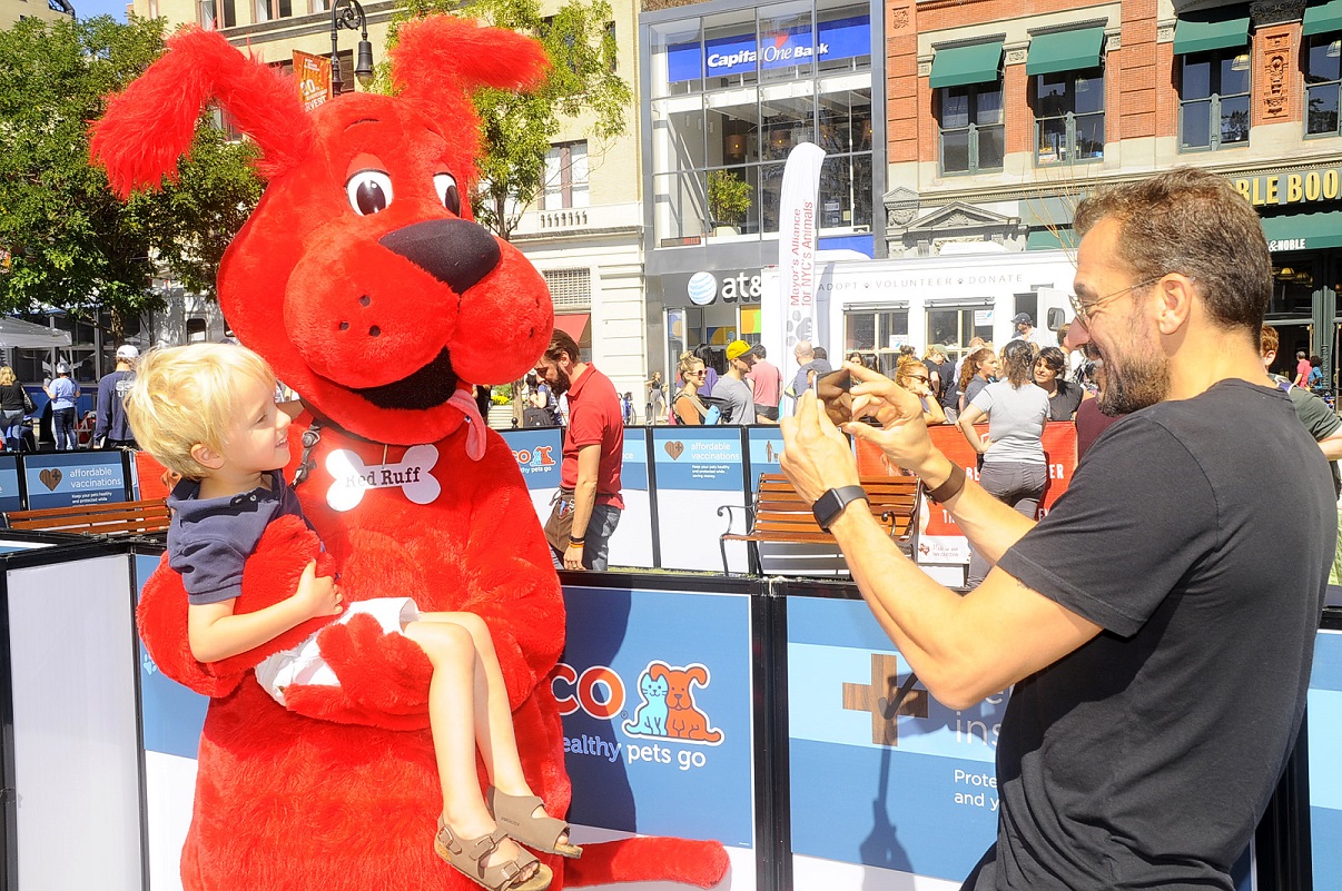 Mayor's Alliance for NYC's Animals Adoptapalooza (Photo: PawPrints By Dave)