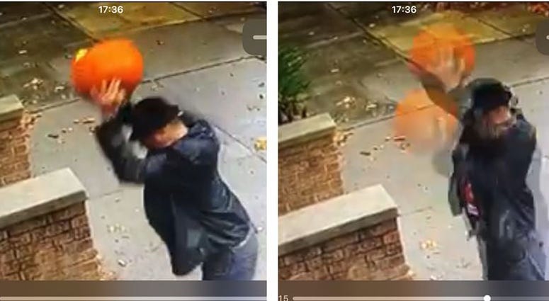 Brooklyn pumpkin smasher Brooklyn pumpkin smasher