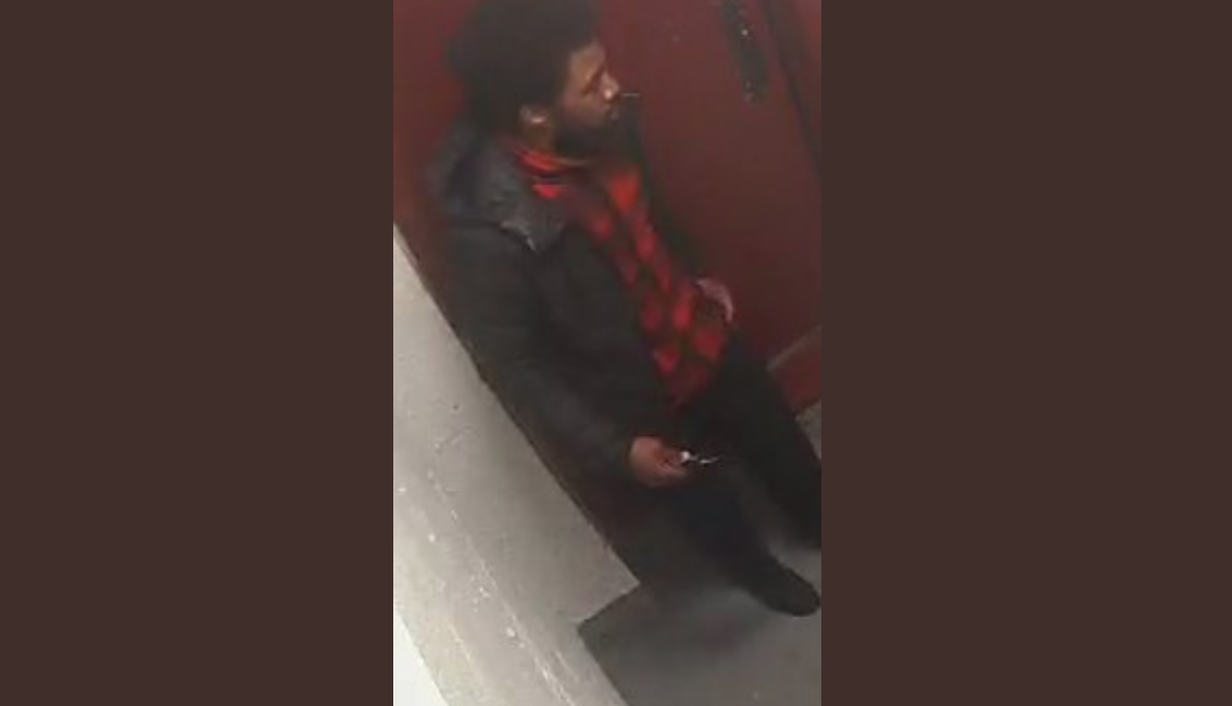 Bronx rape suspect