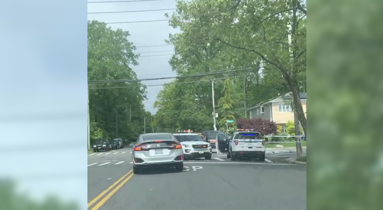The scene of the crash. 79-year-old cyclist killed on Staten Island