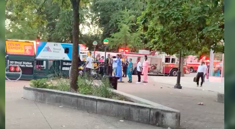 person struck 110 Central Park North