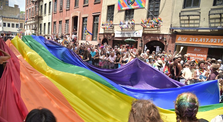 Theo Wargo/Getty Images 2019 Pride Parade