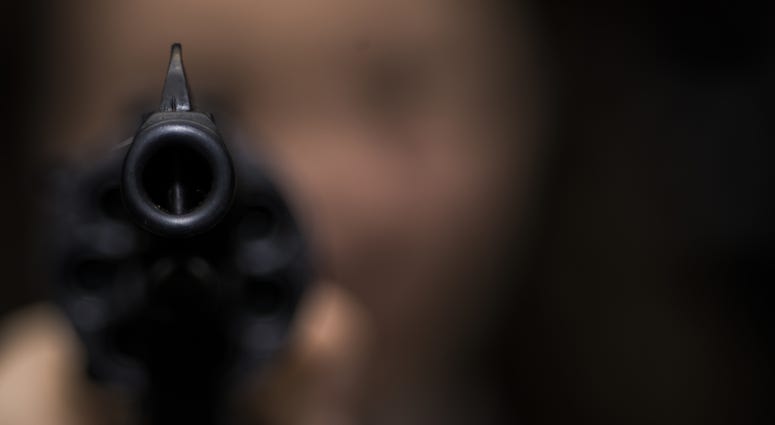 Gun file image. Gun file image.