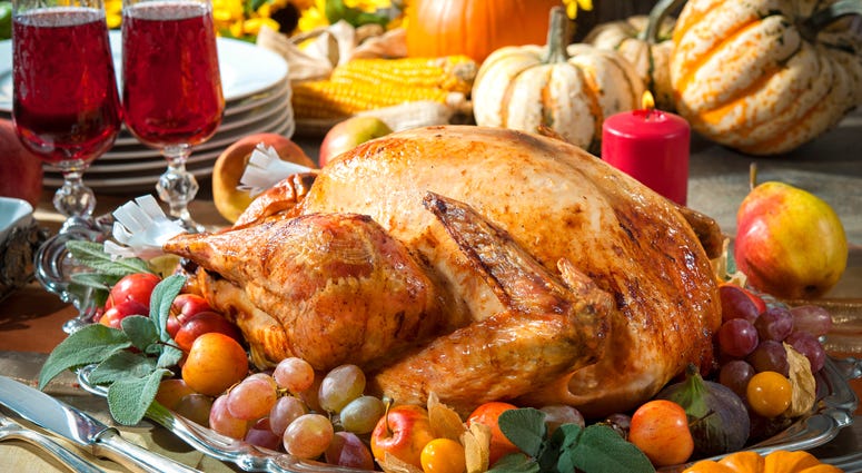 Turkey file image. Turkey file image.