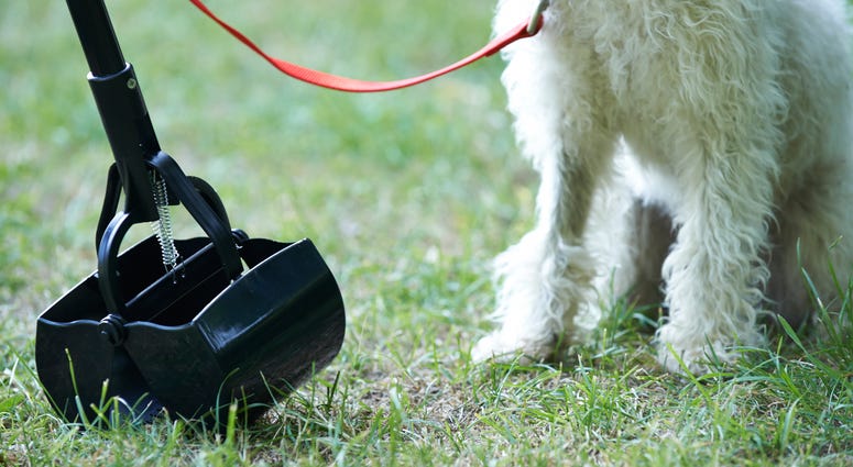 Pooper Scooper file image Pooper Scooper file image