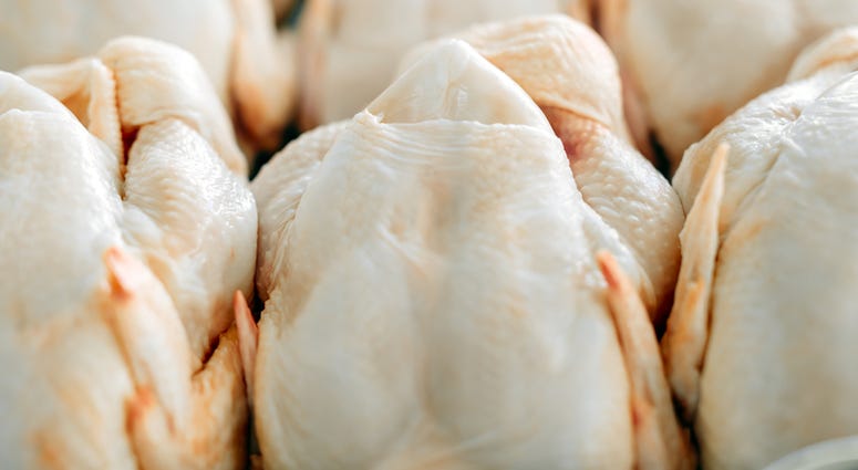 Raw Chicken Raw Chicken