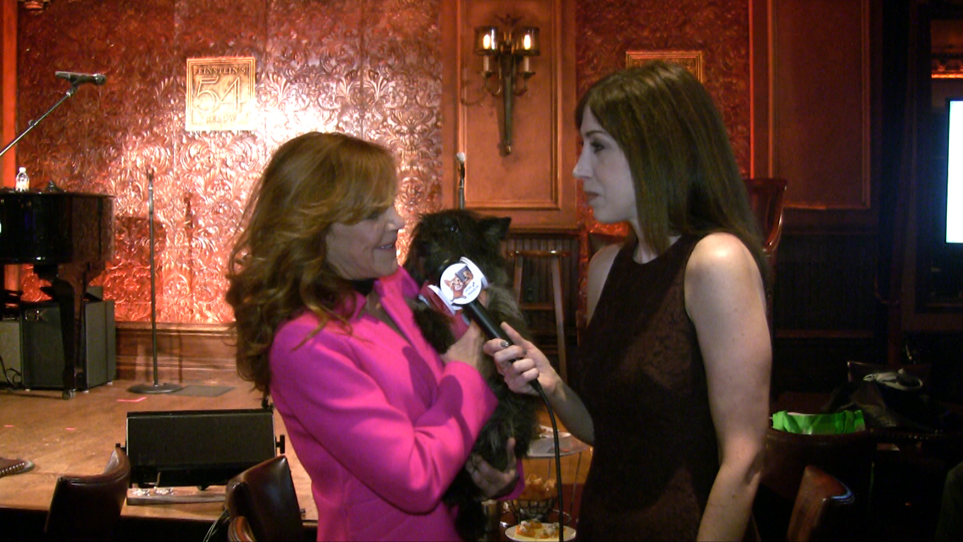 1010 WINS Anchor Susan Richard interviews Andrea McArdle/Best In Shows at Feinsteins/54 Below to benefit The Humane Society of NY (Photo: Susan Richard)