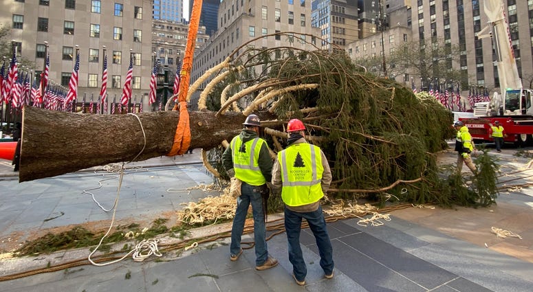 2019 Rockefeller Christmas tree 2019 Rockefeller Christmas tree