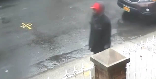 Brooklyn park sex assault suspect