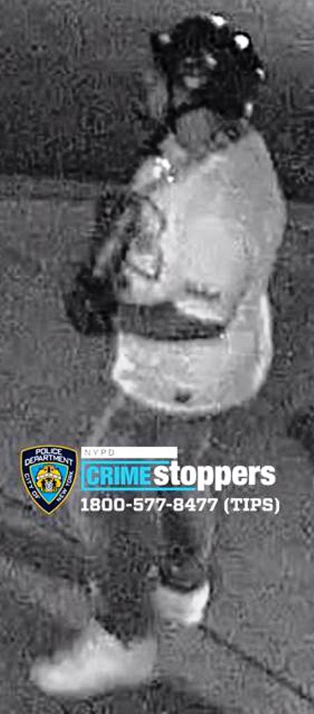 Bronx shooting