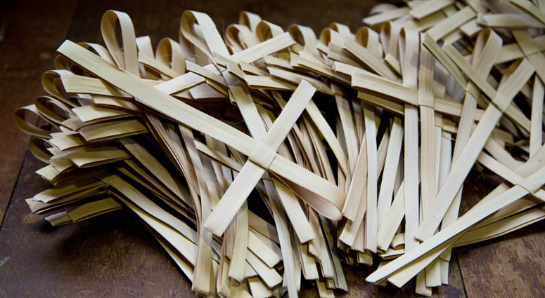 Palm Sunday Palm Sunday