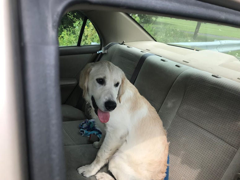 Bouy was found Sunday morning. He had been missing since a plane crashed into a Union Vale home on Saturday. Dutchess plane crash