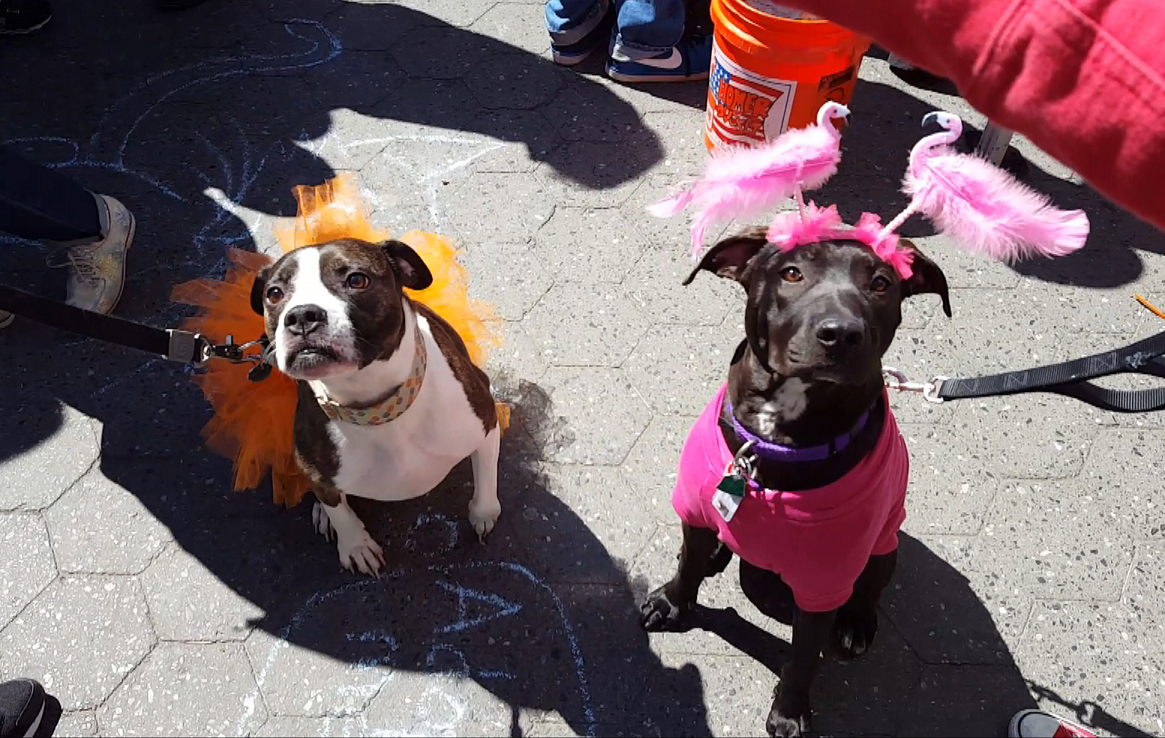 (Photo Credit: Susan Richard)