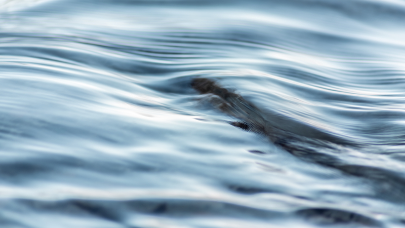 River file image. River file image.