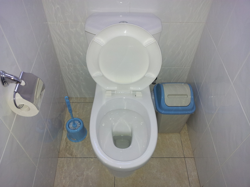 Toilet seat , paper , cleaning brush and trash in nice clean bathroom Toilet seat , paper , cleaning brush and trash in nice clean bathroom