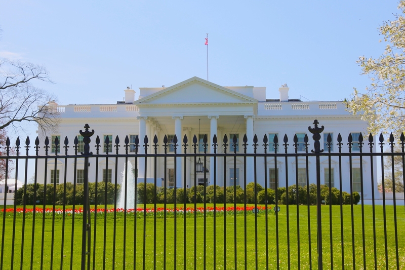The White House The White House
