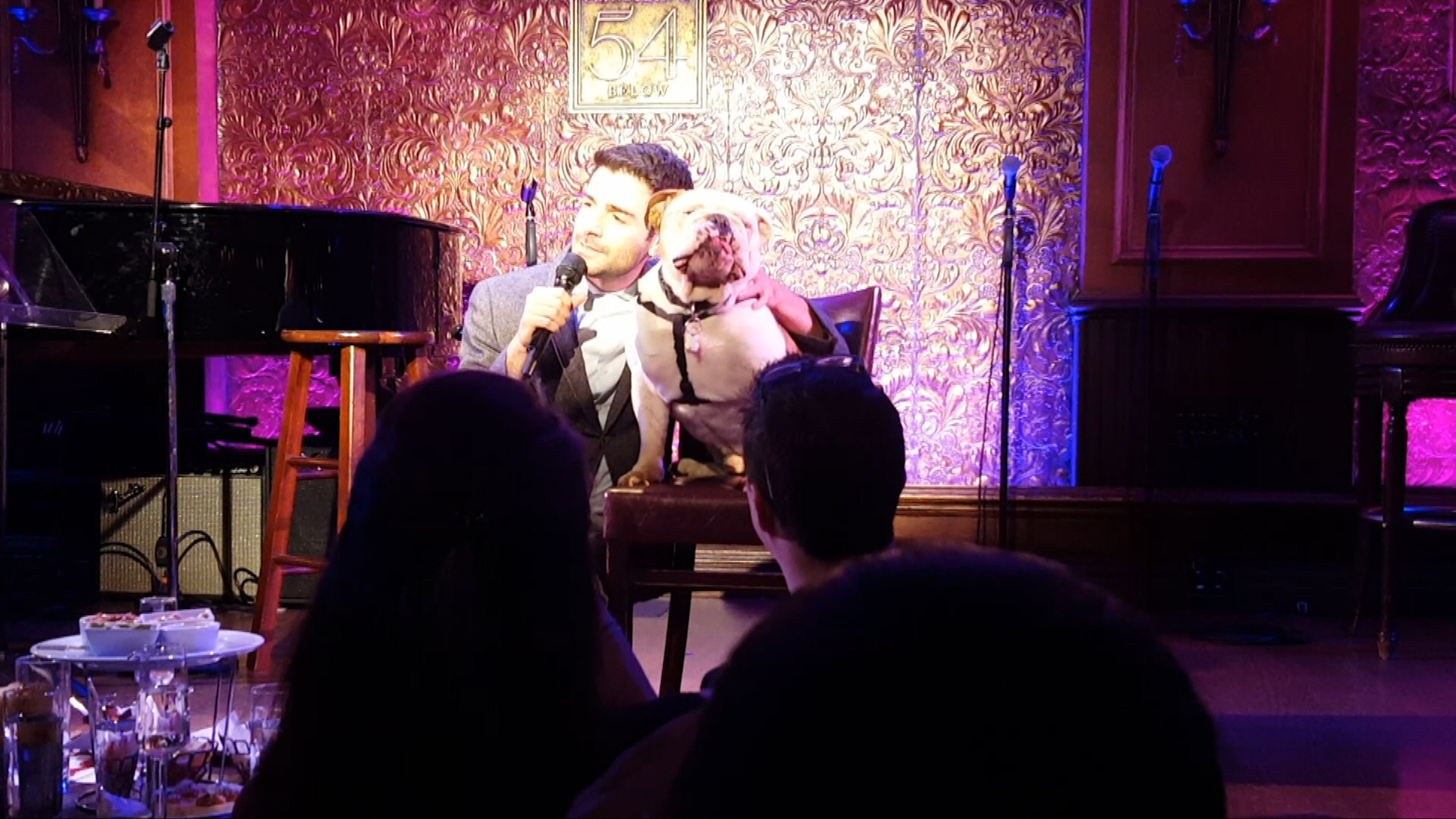 Adam Kantor at HSNY Best In Shows